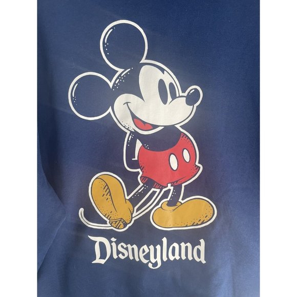 Disney Hoodie Full Zip Mens Large Fleece Double Disneyland Graphic Sweater - Picture 11 of 13